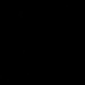 Meet your Posher, Rileigh